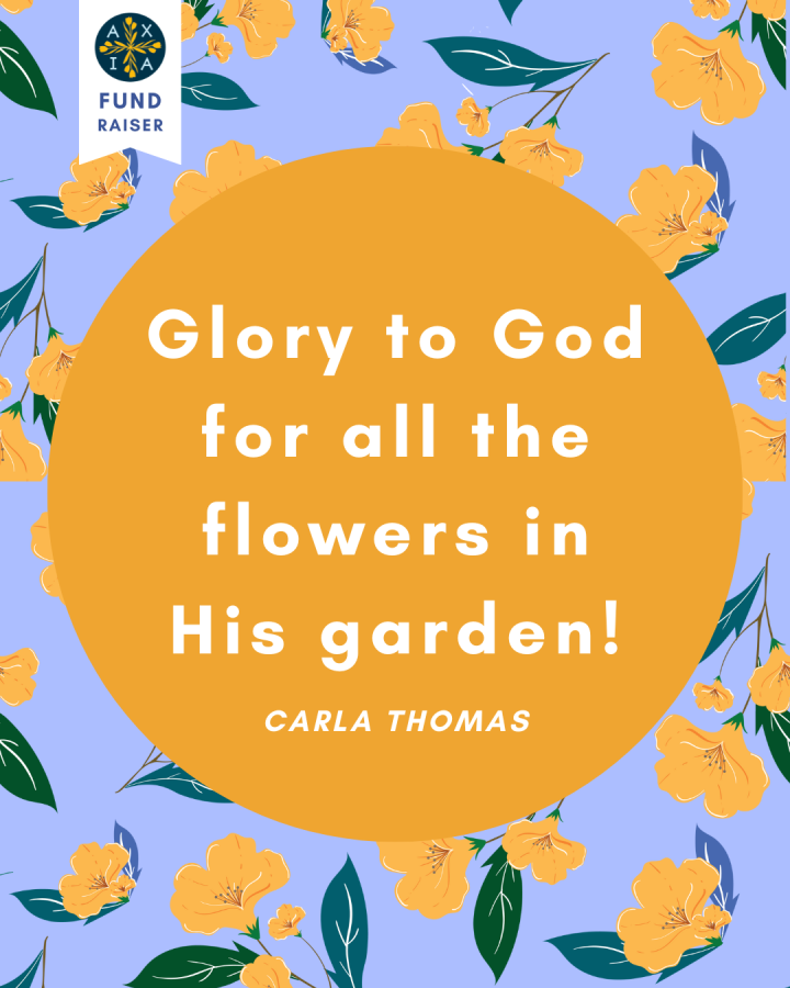 FundraisingGraphic3 FundraisingGraphic3